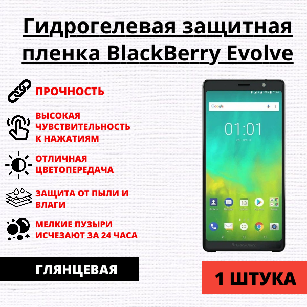 Гидрогелевая защитная пленка BlackBerry Evolve (1 штука)